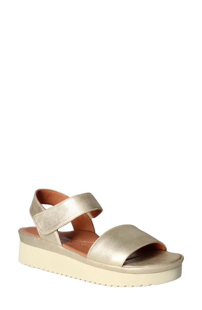 L'Amour des Pieds Abrilla Slingback Platform Wedge Sandal in Gold Cover