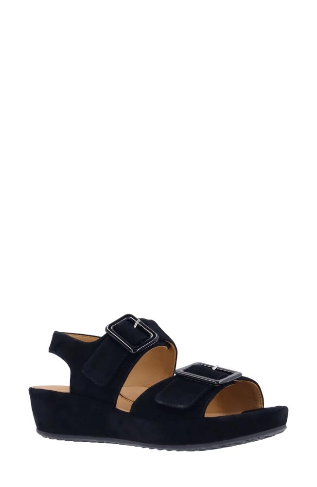 L'Amour des Pieds Cantura Slingback Sandal in Black Cover