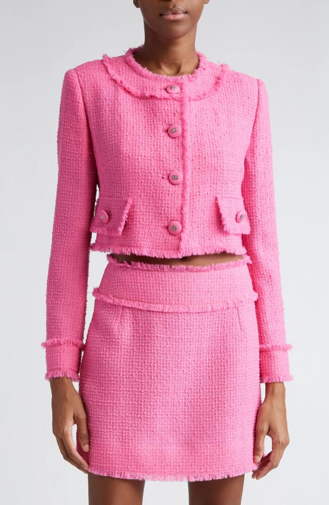 Dolce & Gabbana Crop Raschel Tweed Jacket in Rosa Cover