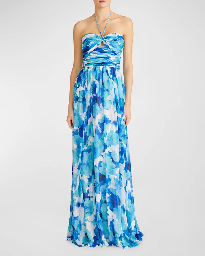 ML Monique Lhuillier Emilia Cutout Floral-Print Halter Gown Cover