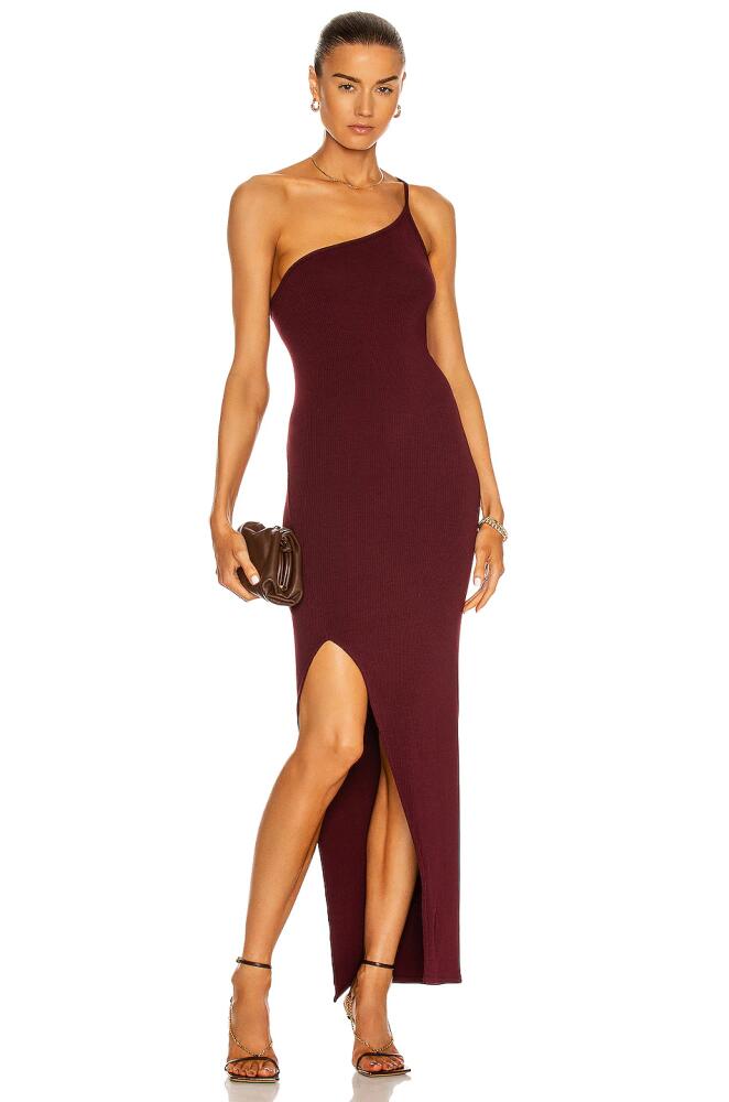 IRO Hunnie Dress in Burgundy Cover