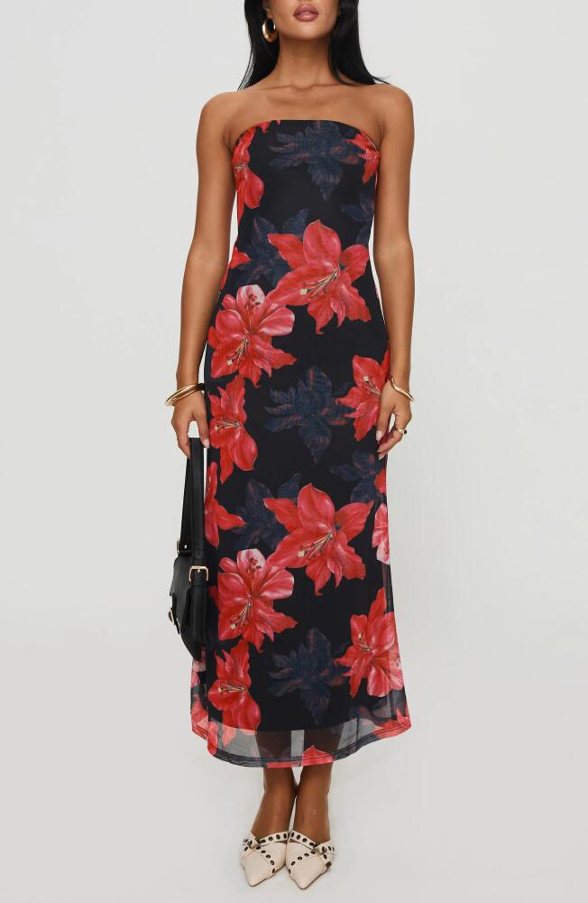 Princess Polly Celik Floral Strapless Dress in Black /Red Cover