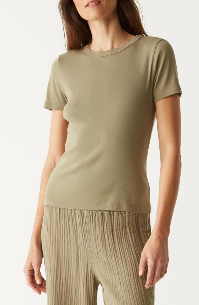 Michael Stars Mady Crew Neck T-Shirt in Olive Cover