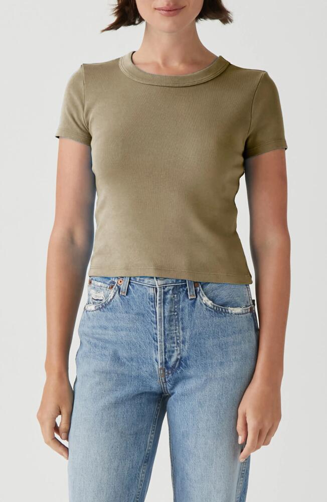 Michael Stars Mimi Crop T-Shirt in Olive Cover