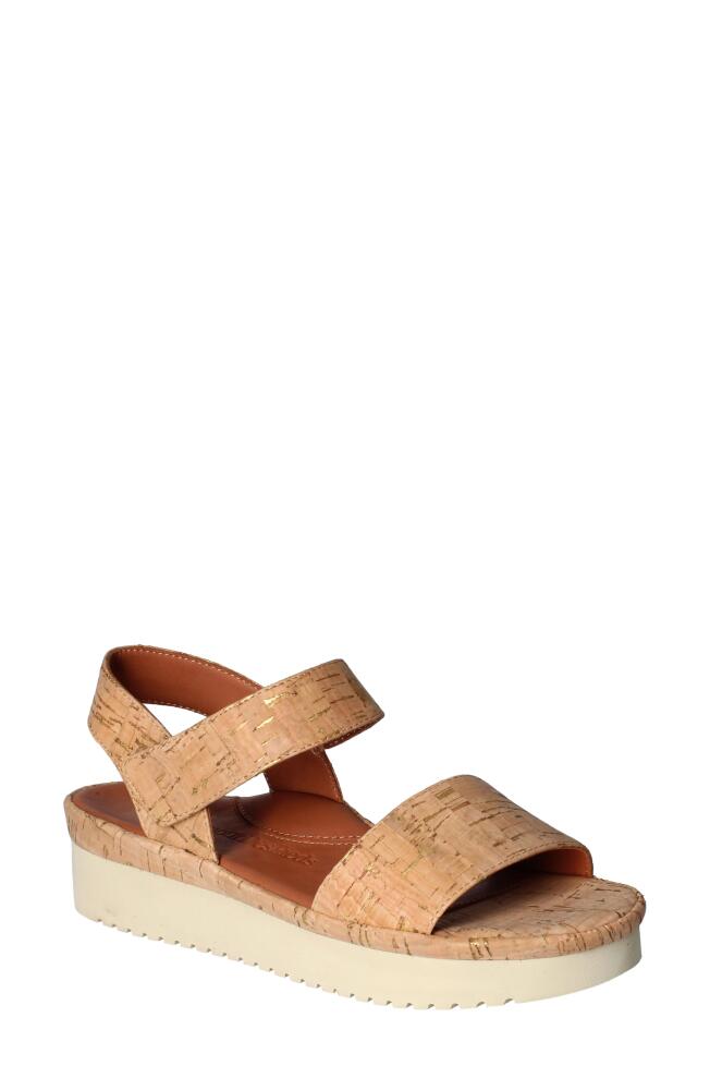 L'Amour des Pieds Abrilla Slingback Platform Wedge Sandal in Natural/Gold Cover