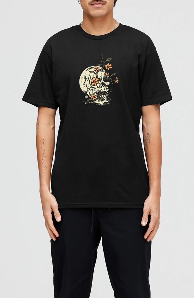 Stance Keep Growing Cotton Graphic T-Shirt in Black Cover