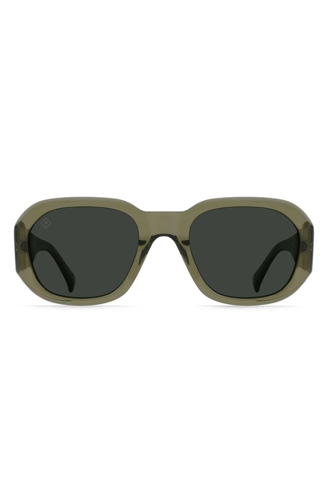 RAEN Zouk Polarized Square Sunglasses in Cambria/Green Polar Cover