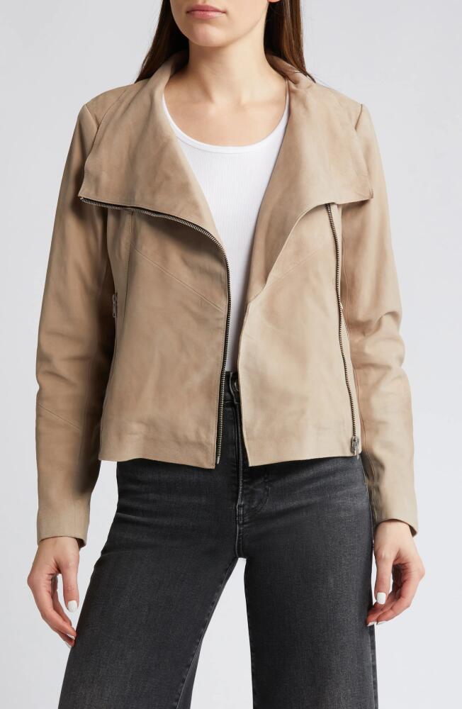 AllSaints Suede Jacket in Warm Grey Cover