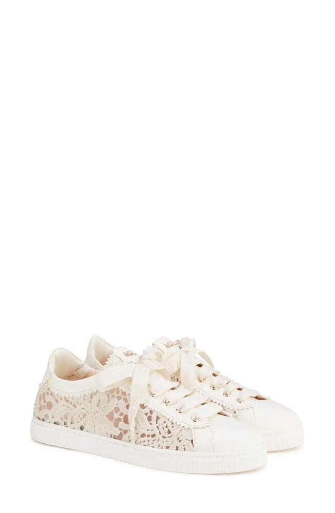 AGL Sade Sneaker in Off White-Off White--Milk Cover