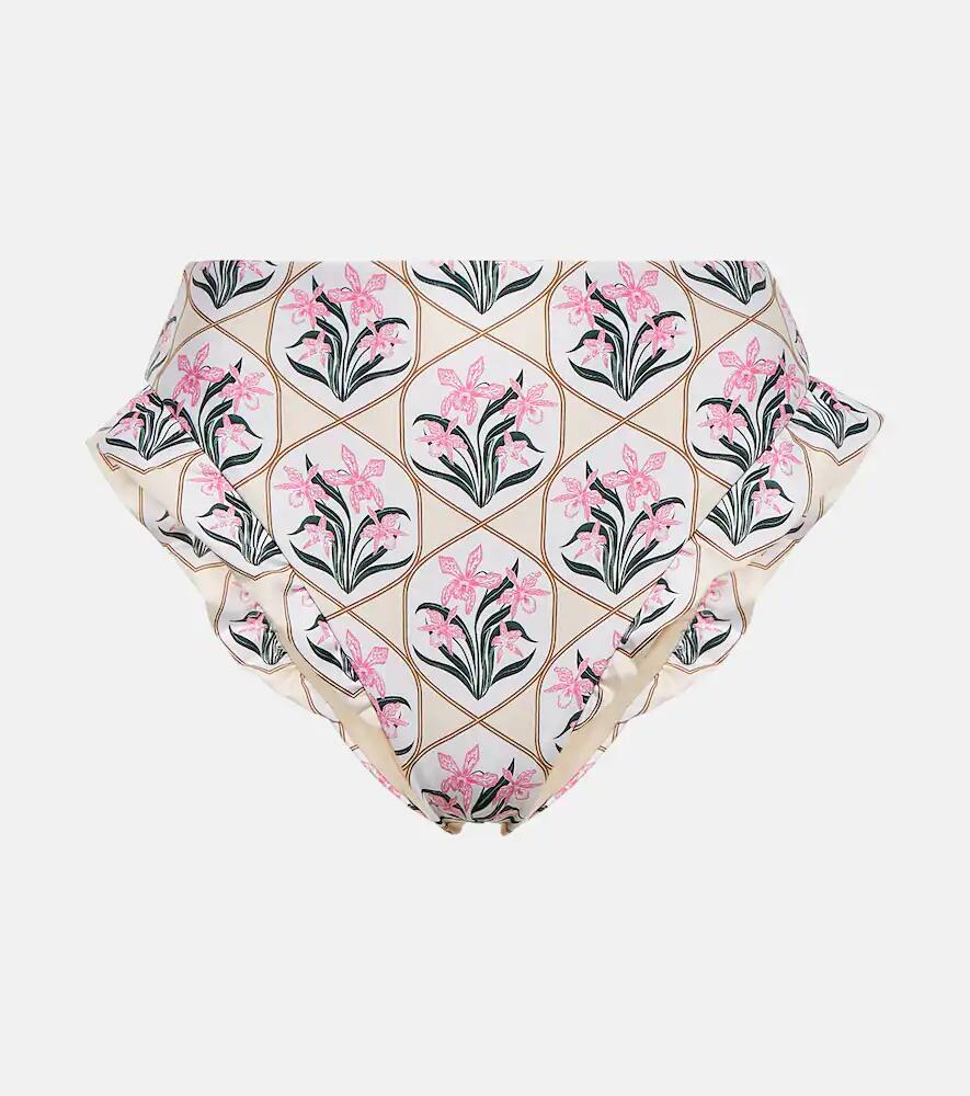 Agua by Agua Bendita Jengibre Orquidea floral bikini bottoms Cover