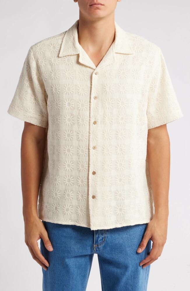 Percival Crochet Poplin Cotton Camp Shirt in Ecru Cover