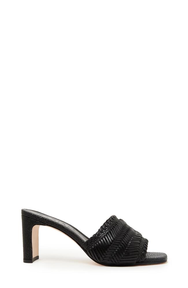 Daniella Shevel Monaco Pump in Black Cover