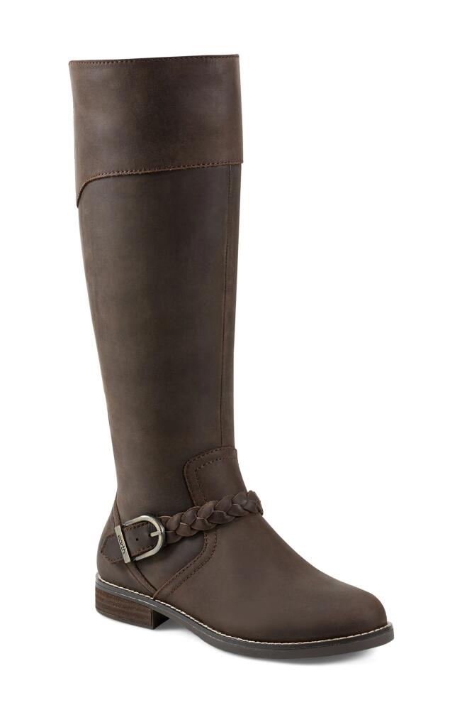 Earth Mira Knee High Boot in Dark Brown Cover