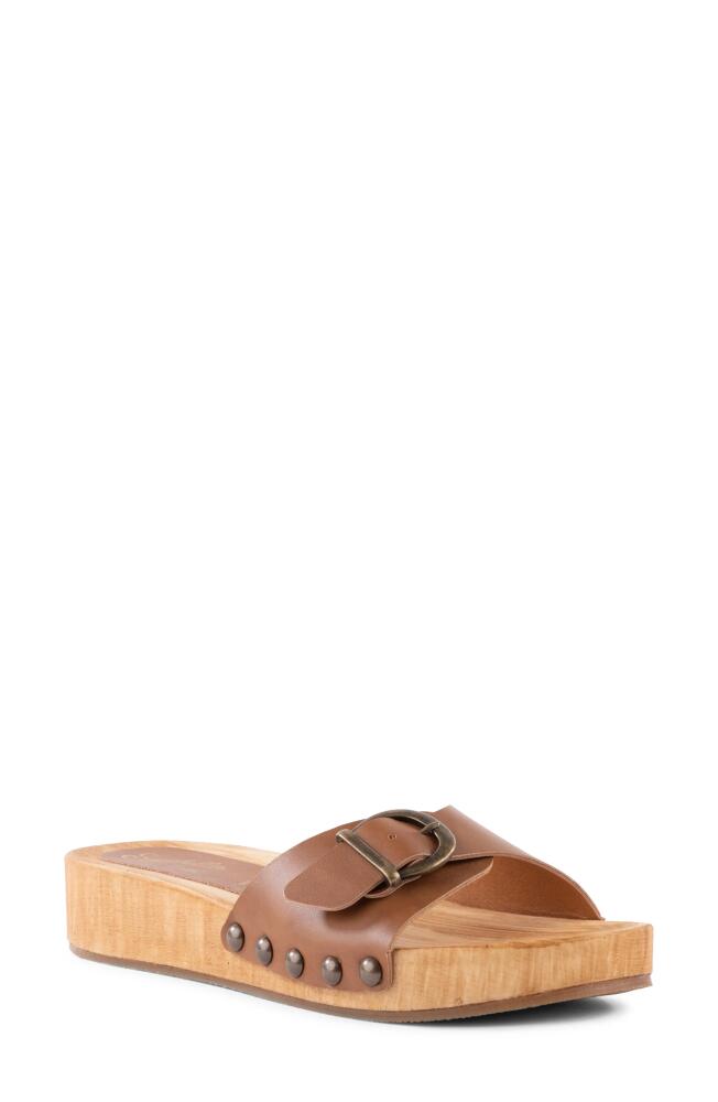 Seychelles Sorbet Platform Wedge Sandal in Brown Cover