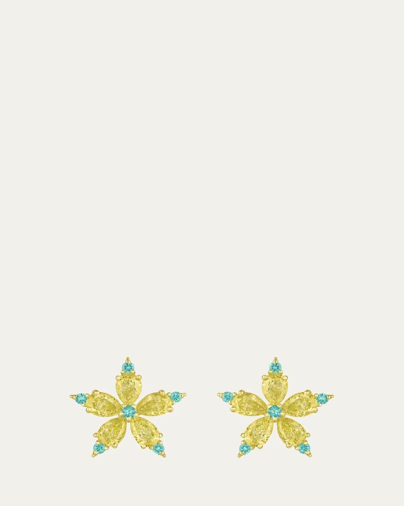 Paul Morelli Stellanise Yellow Diamond and Paraiba Tourmaline Stud Earrings Cover