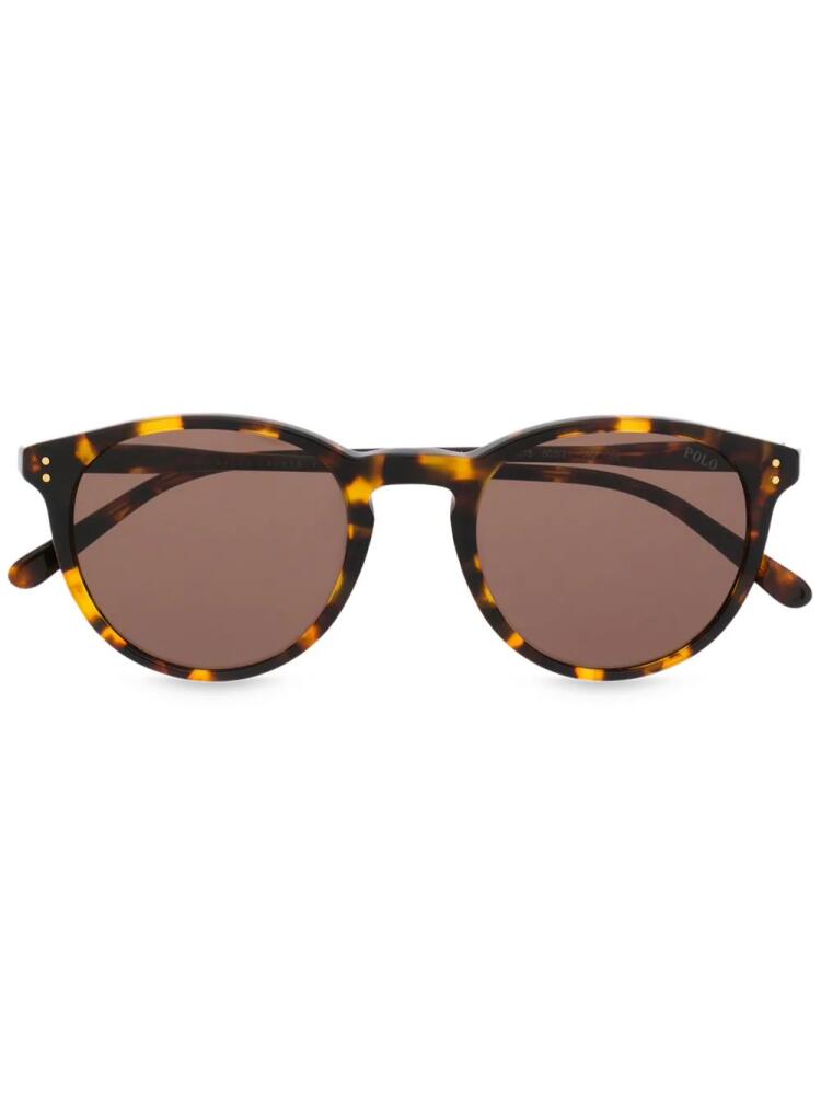 Polo Ralph Lauren round tortoiseshell sunglasses - Brown Cover