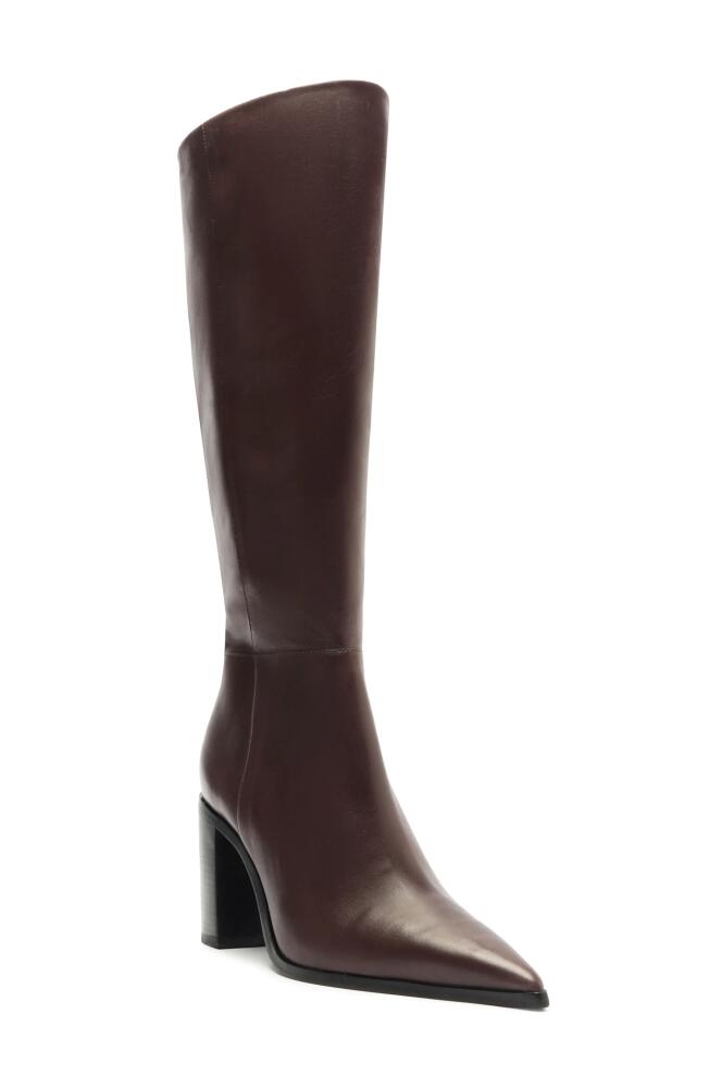 Schutz Mikki Up Block Pointed Toe Knee High Boot in Brown Cover