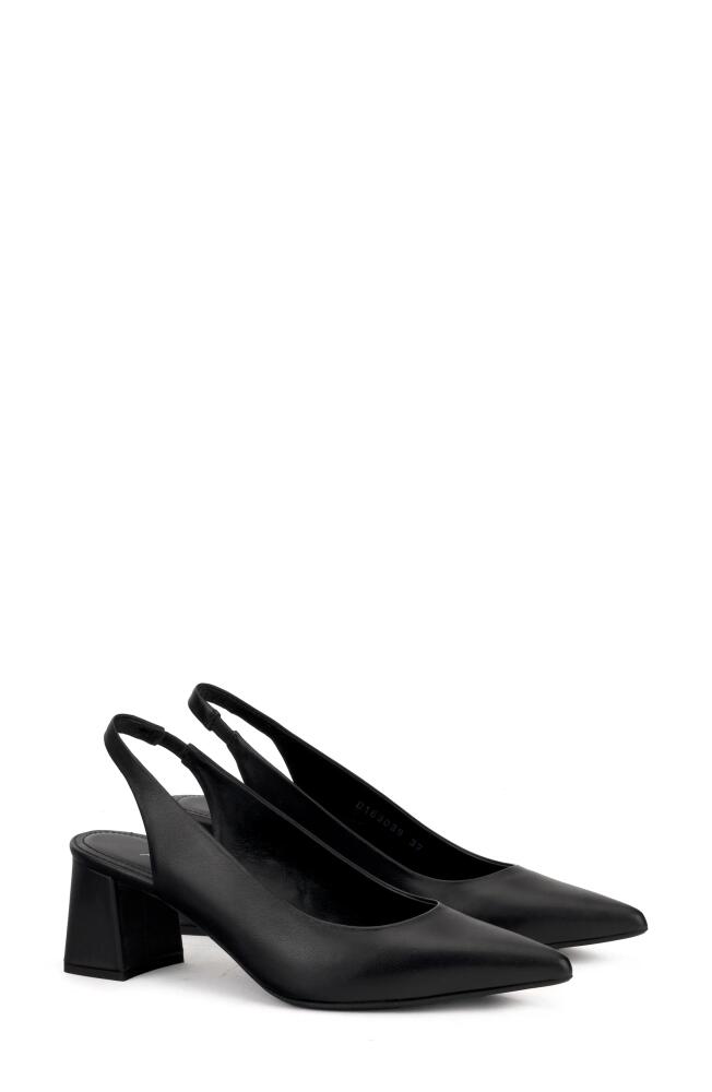 AGL Dodi Pointed Toe Slingback Pump in Nero Cover