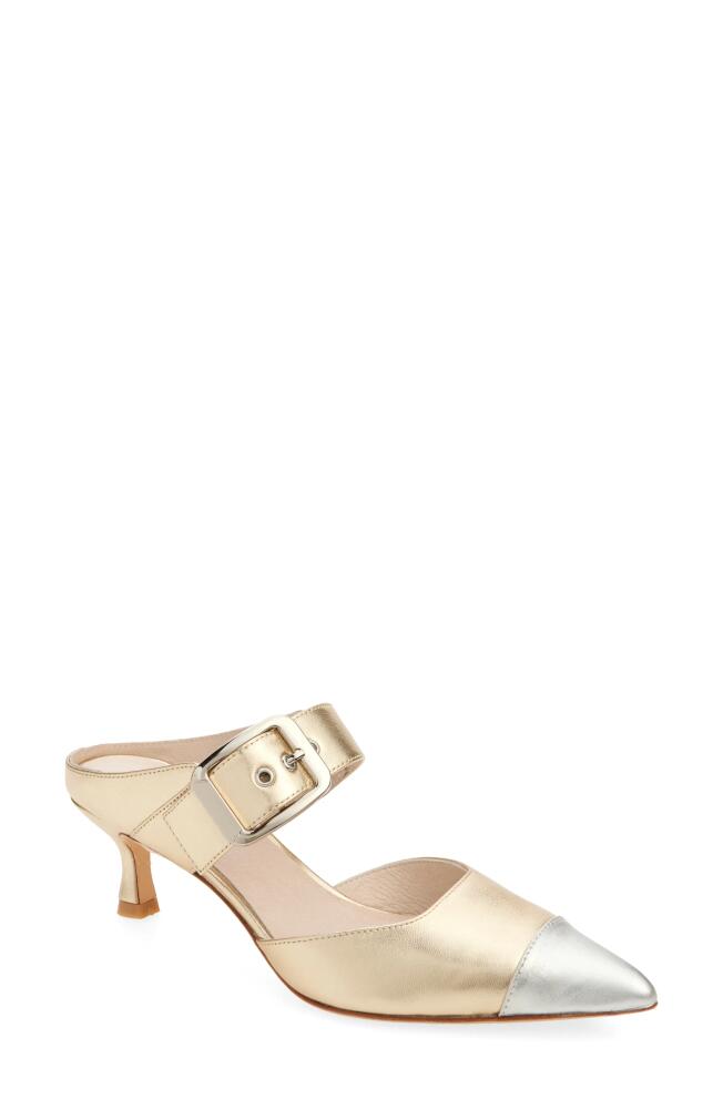 KOKO + PALENKI Paloma Pointed Cap Toe Kitten Heel Mule in Gold Metallic Leather Cover