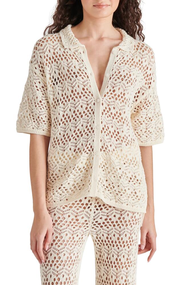 Steve Madden Avana Crochet Cardigan in Natural Cover