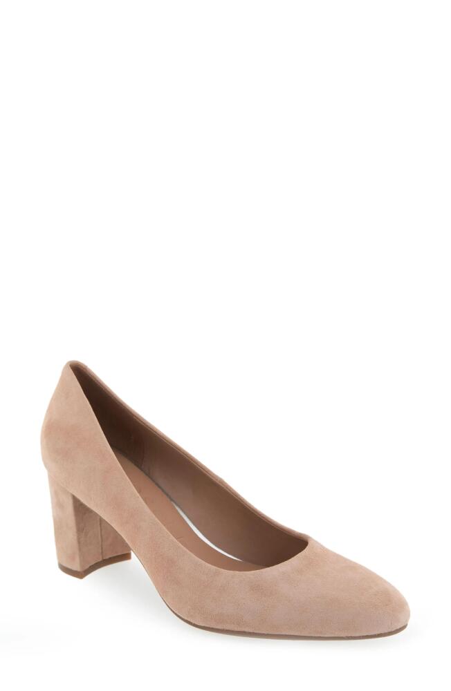 Aerosoles Betsy Pump in Cipria Suede Cover