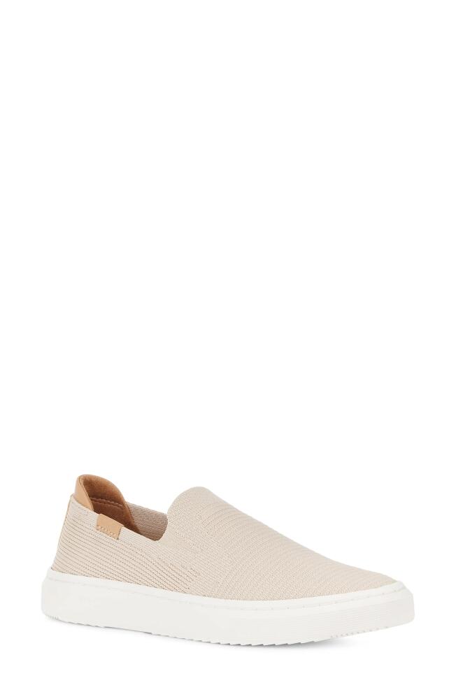 UGG(r) Alameda Sammy Slip-On Sneaker in Sea Salt Cover