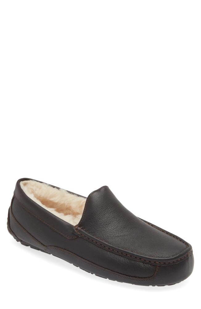 UGG(r) Ascot Leather Slipper in Dark Spice Cover