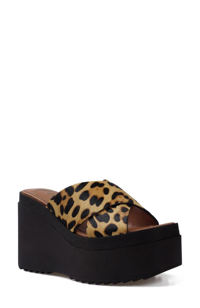 Candie's Galina Platform Wedge Sandal in Leopard Cover