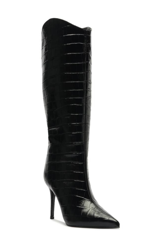 Schutz Maryana Pointed Toe Knee High Boot in Black Cover