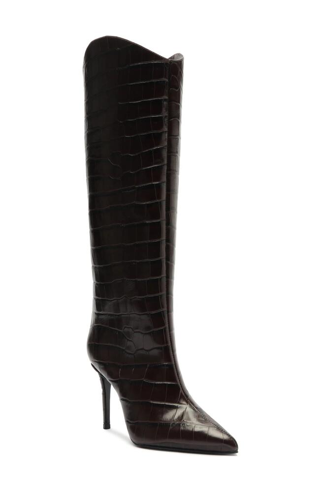 Schutz Maryana Pointed Toe Knee High Boot in Brown Cover