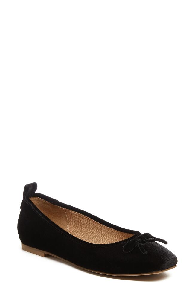 Kelsi Dagger Brooklyn Frankie Square Toe Ballet Flat in Black Suede Cover