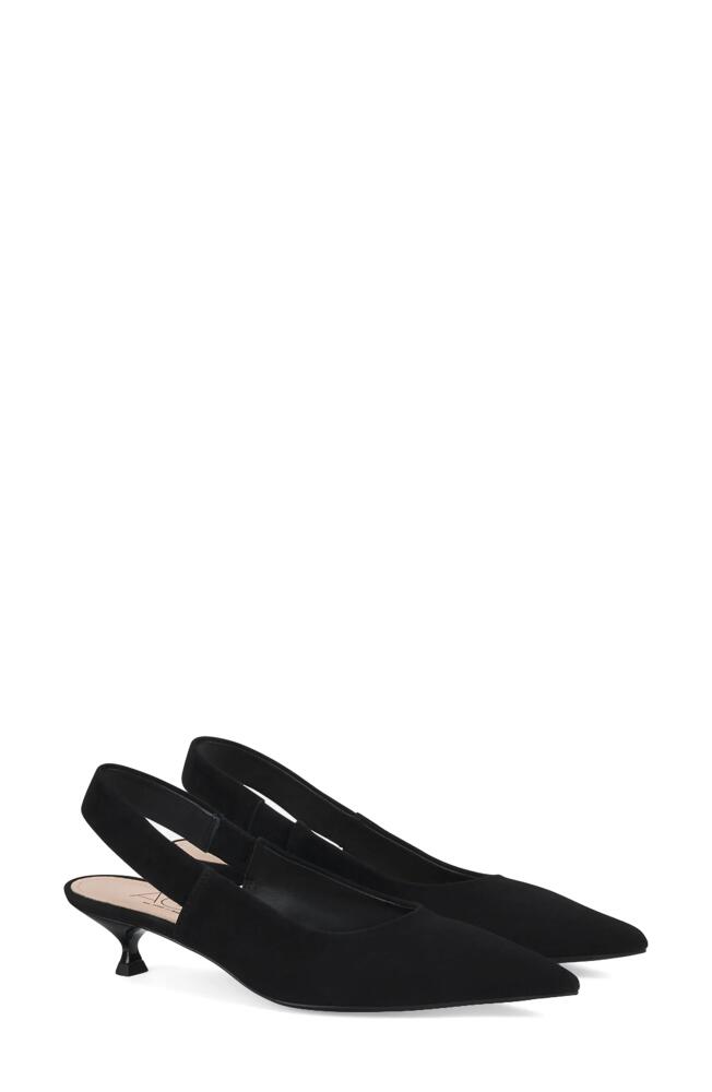 AGL Lenor Slingback Pointed Toe Kitten Heel Pump in Nero-Nero Cover