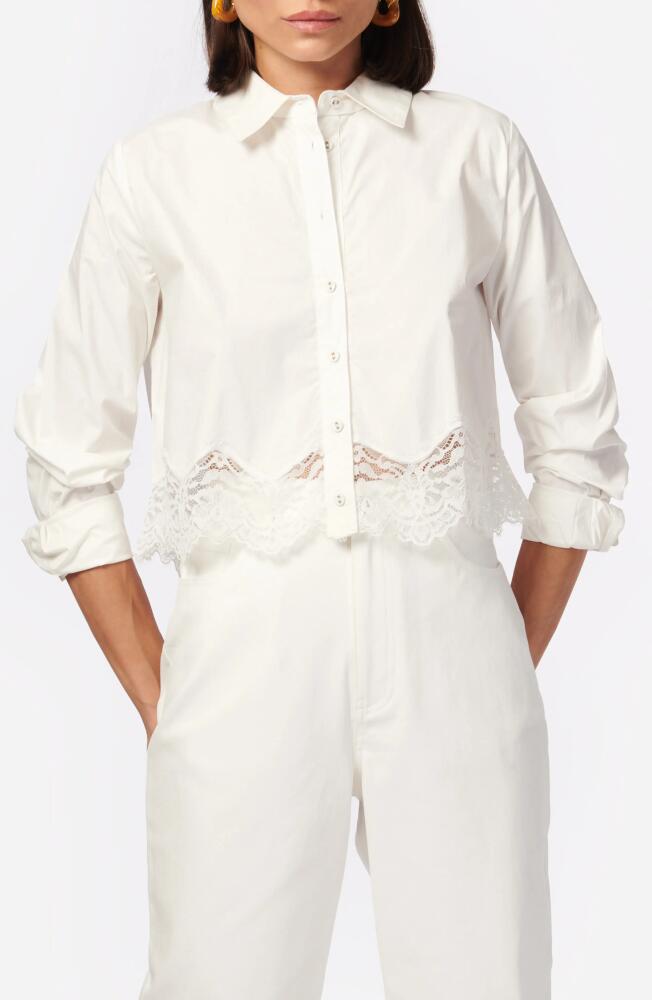 CAMI NYC Sora Lace Trim Button-Up Shirt in White Cover