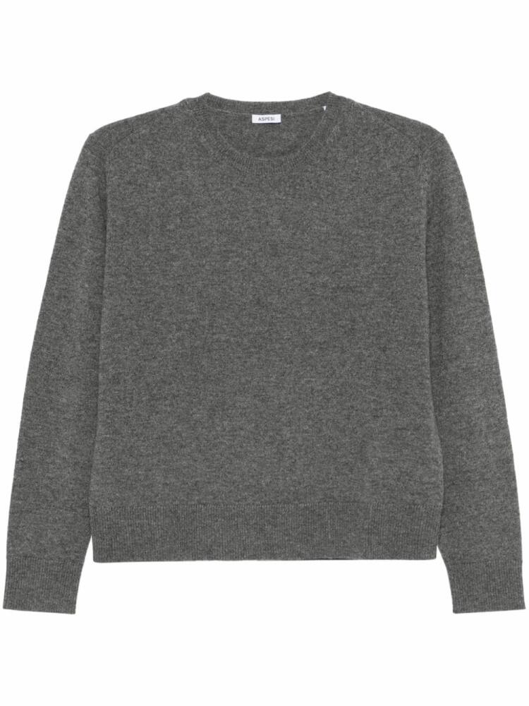 ASPESI cashmere sweater - Grey Cover