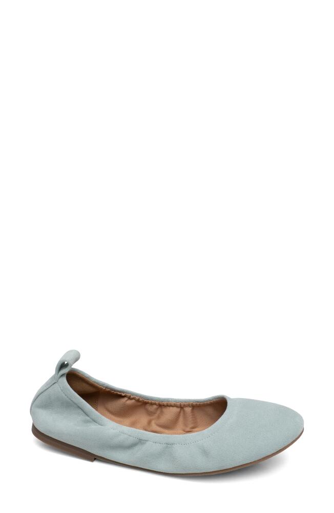 Linea Paolo Monte Ballet Flat in Pale Blue Cover