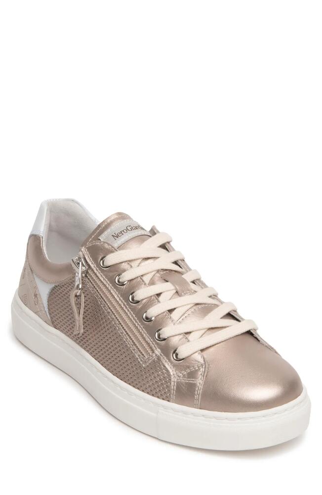 NeroGiardini Side Zip Sneaker in Rose Cover