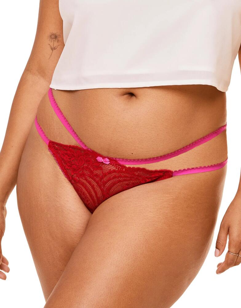 Adore Me Camylla Bikini Panties in Dark Red Cover