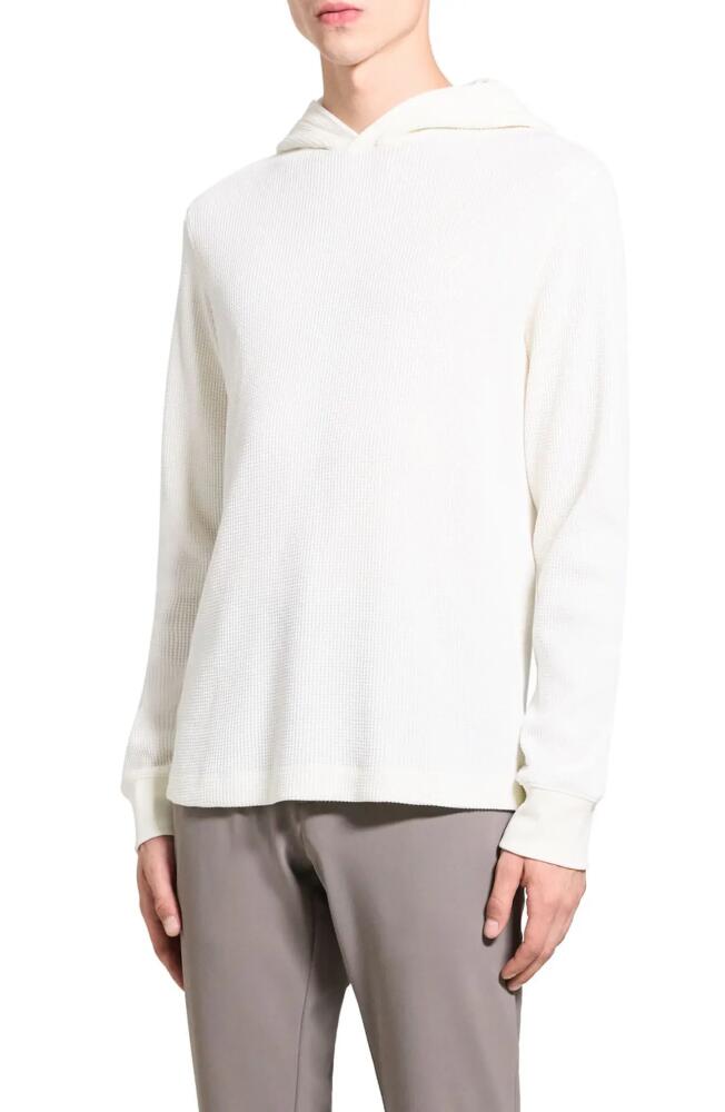 Theory Mattis Waffle Knit Organic Cotton Blend Hoodie in Ivory Cover