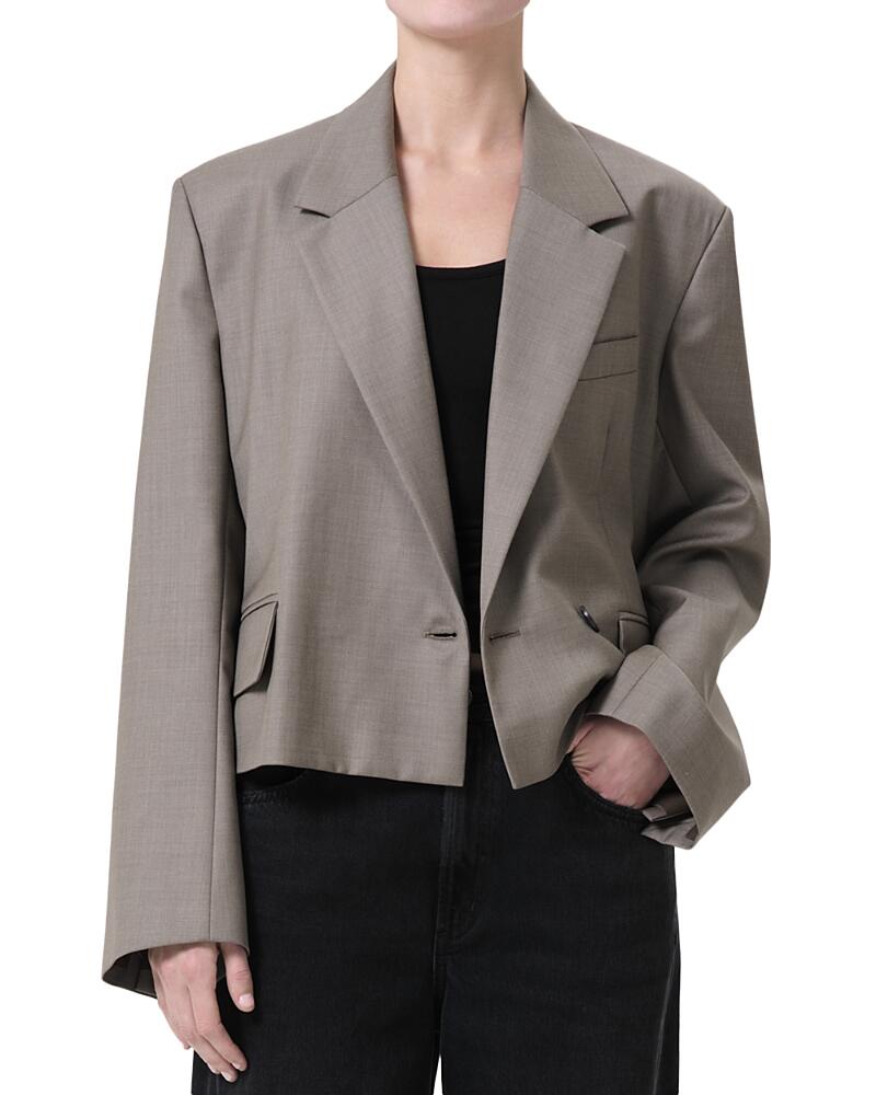 Agolde Callie Blazer Cover