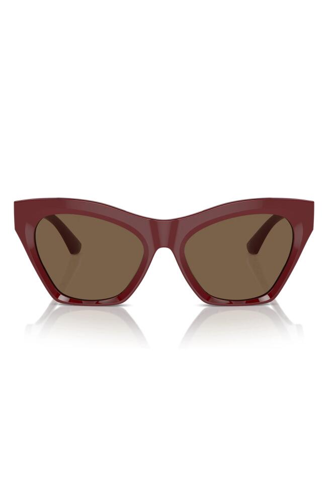 burberry 55mm Cat Eye Sunglasses in Bordeaux Cover