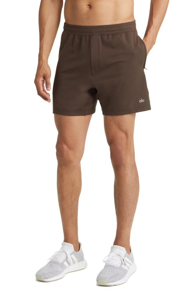 Alo Conquer React Training Shorts in Espresso Cover