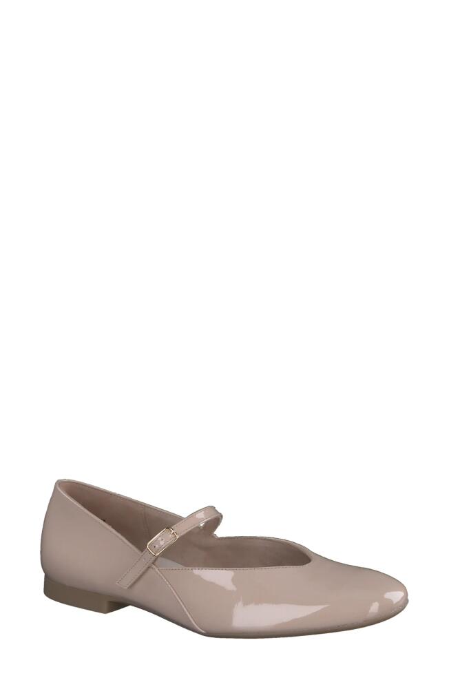 Paul Green Vanna Pointed Toe Mary Jane Flat in Frappe Soft Patent Cover