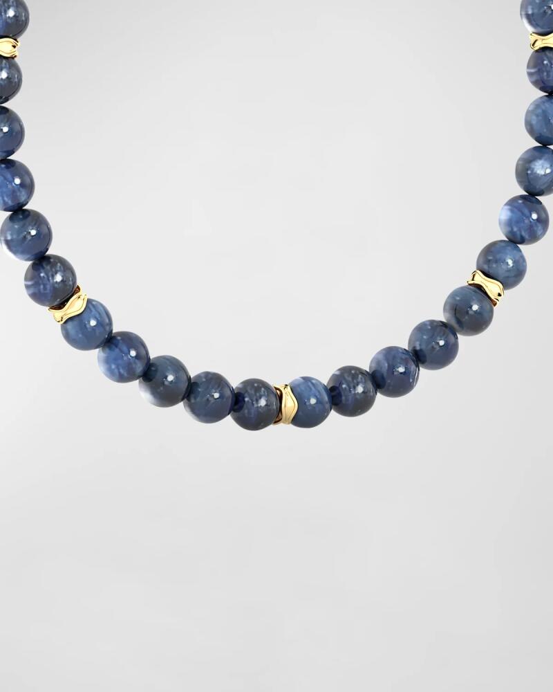 Jamie Turner Sonora Kyanite Bead Necklace Cover