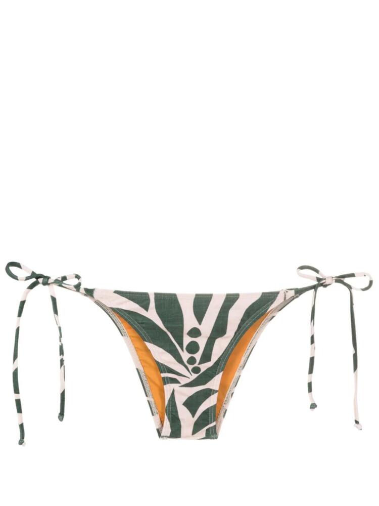 Lygia & Nanny Thai low-rise bikini bottom - Green Cover