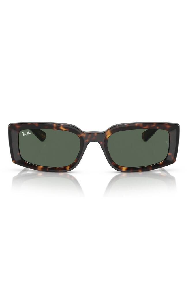 Ray-Ban Kiliane 54mm Pillow Sunglasses in Havana Cover