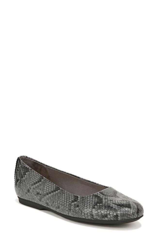 Dr. Scholl's Wexley Snake Embossed Flat in Dark Grey Cover