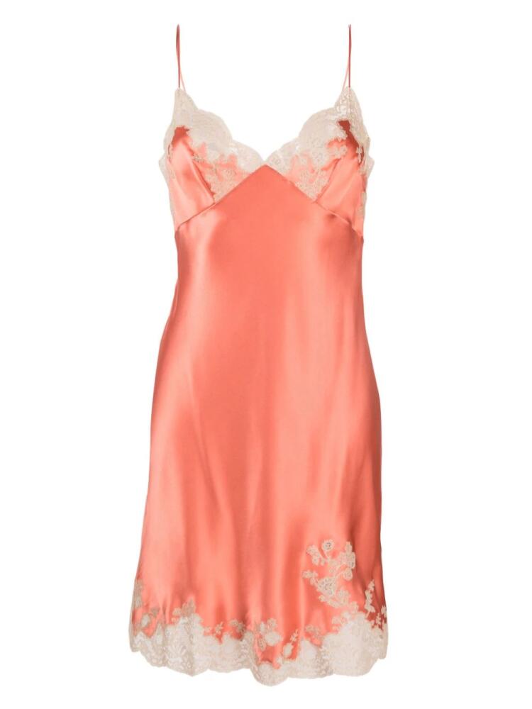 Carine Gilson Calais-Caudry lace-trim silk slip dress - Pink Cover