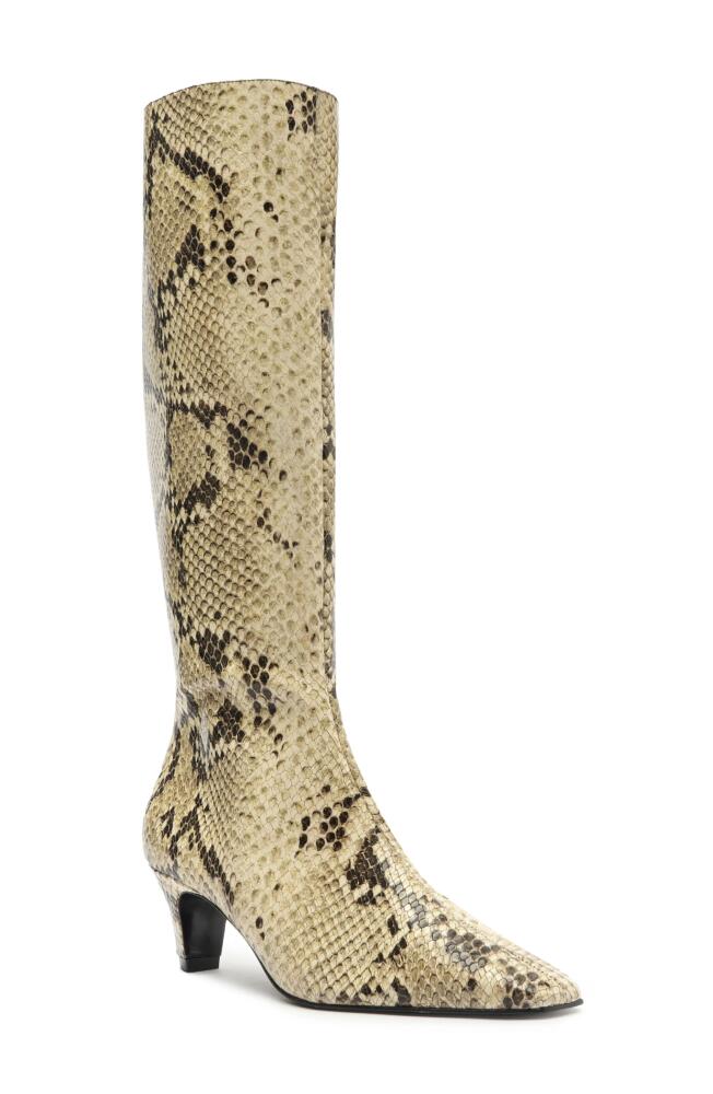 Schutz Dellia Up Knee High Boot in Animal Print Cover