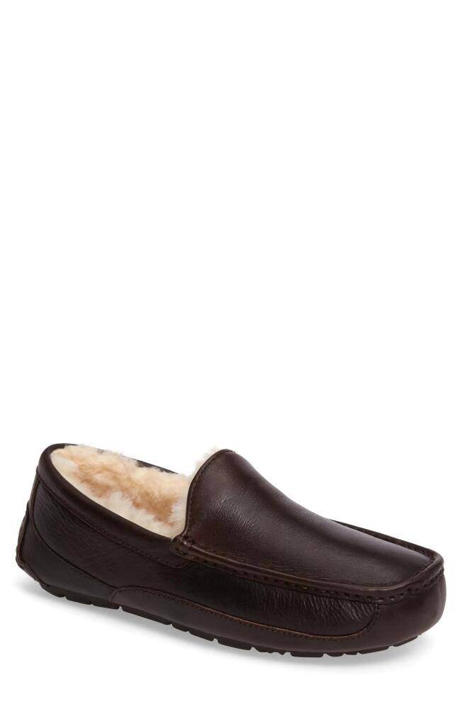 UGG(r) Ascot Leather Slipper in China Tea Leather Cover