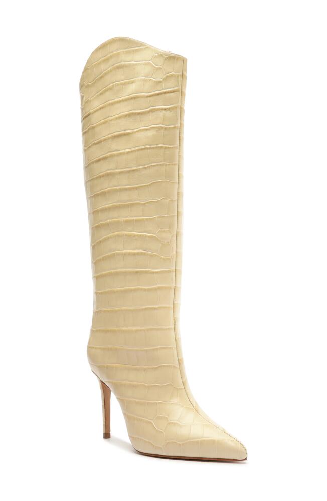 Schutz Maryana Pointed Toe Knee High Boot in Beige Cover